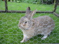 1998-00-00.Photos__I__Like